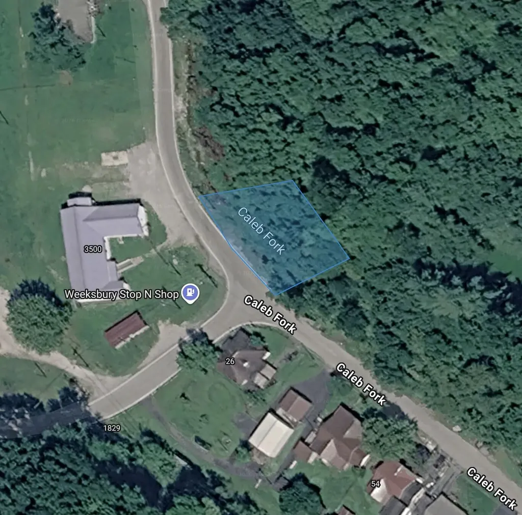 0 Caleb Fork Bevinsville KY 41606