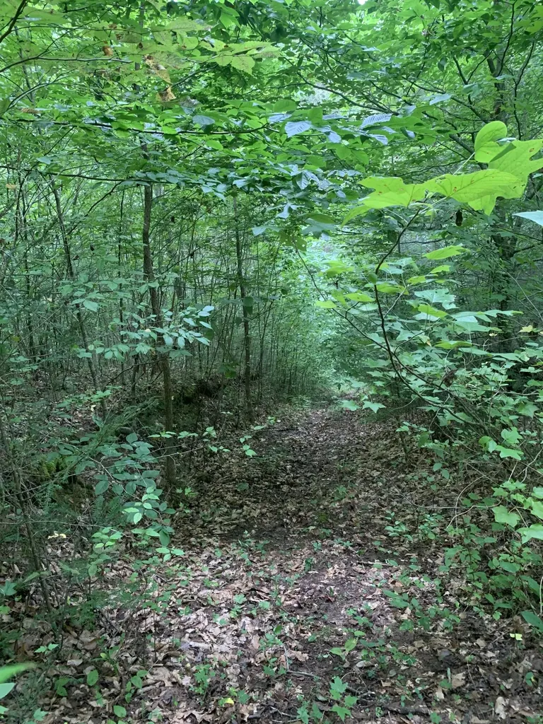 9999 Cabin Creek Road Drive London KY 40741