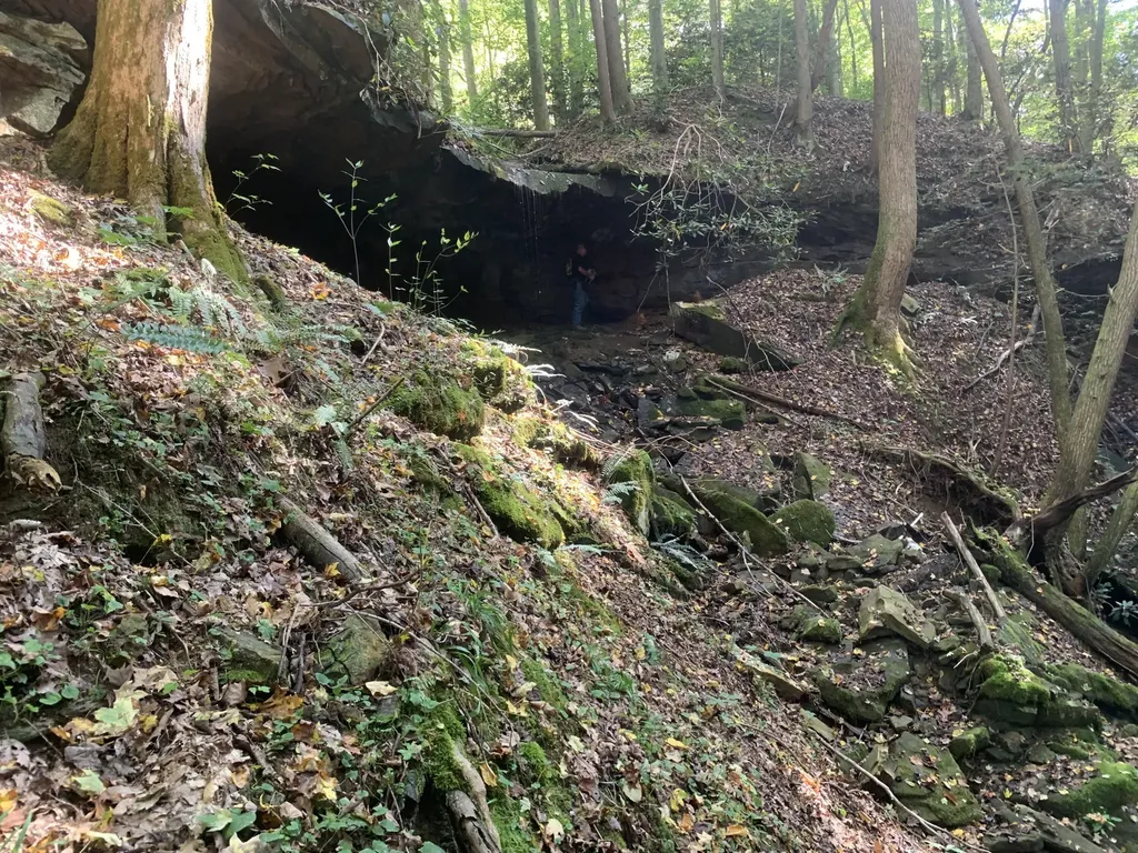 9999 Cabin Creek Road Drive London KY 40741