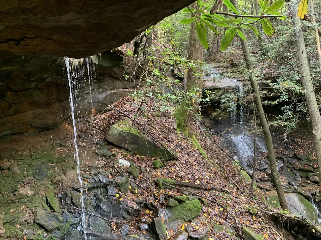 9999 Cabin Creek Road Drive London KY 40741
