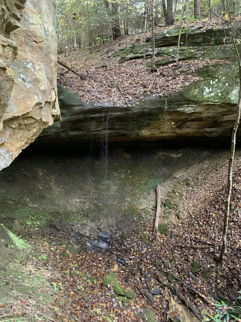 9999 Cabin Creek Road Drive London KY 40741