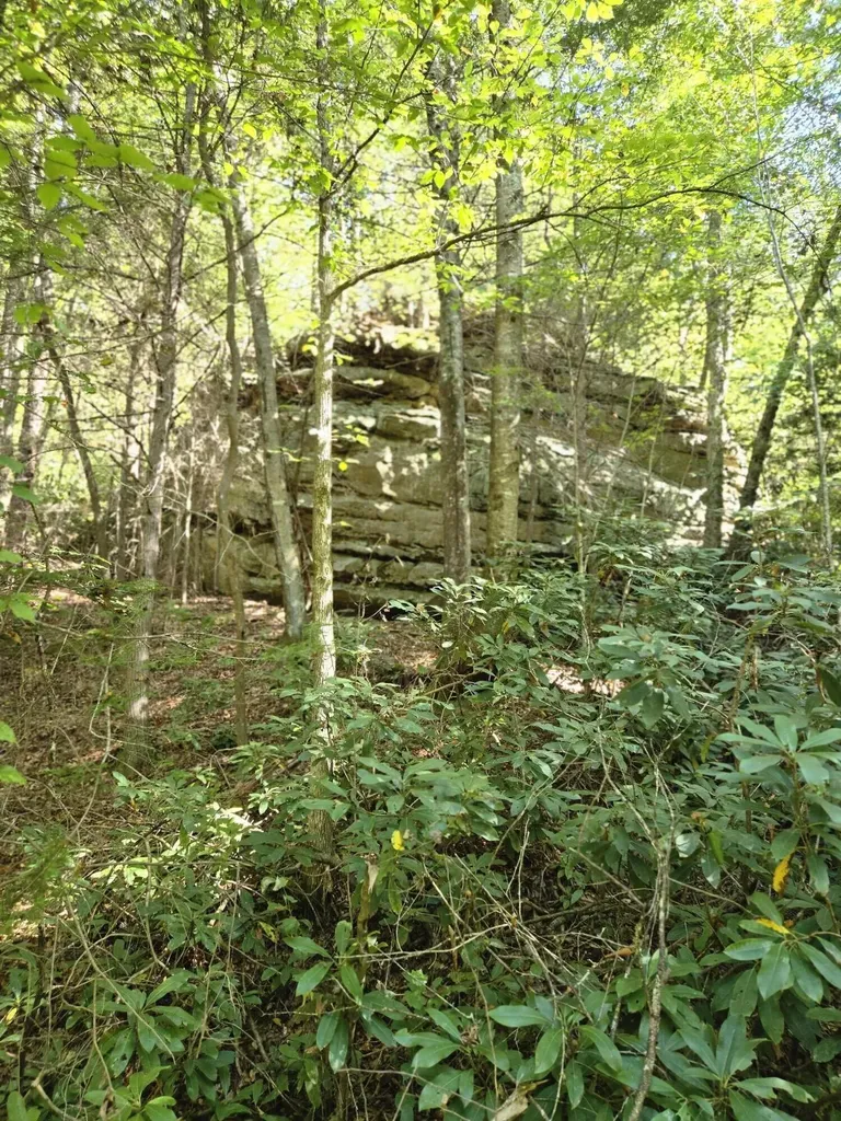 9999 Cabin Creek Road Drive London KY 40741