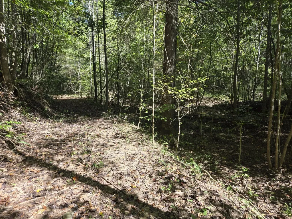 9999 Cabin Creek Road Drive London KY 40741