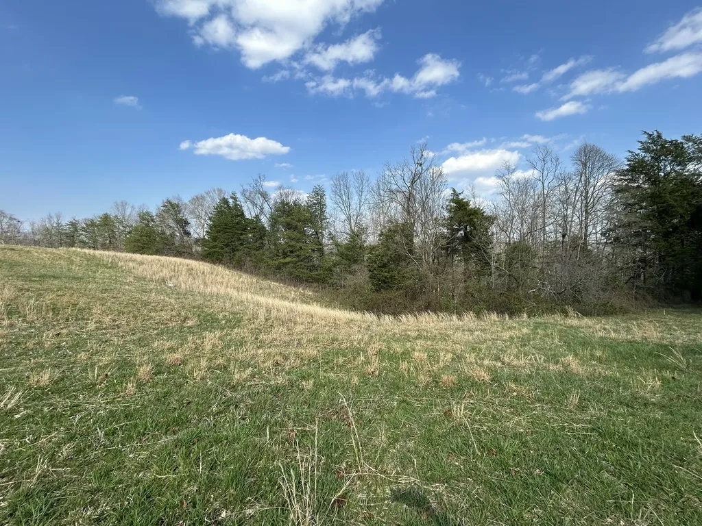 9999 Acreyville Road Monticello KY 42633
