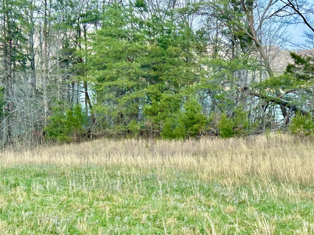 9999 Acreyville Road Monticello KY 42633