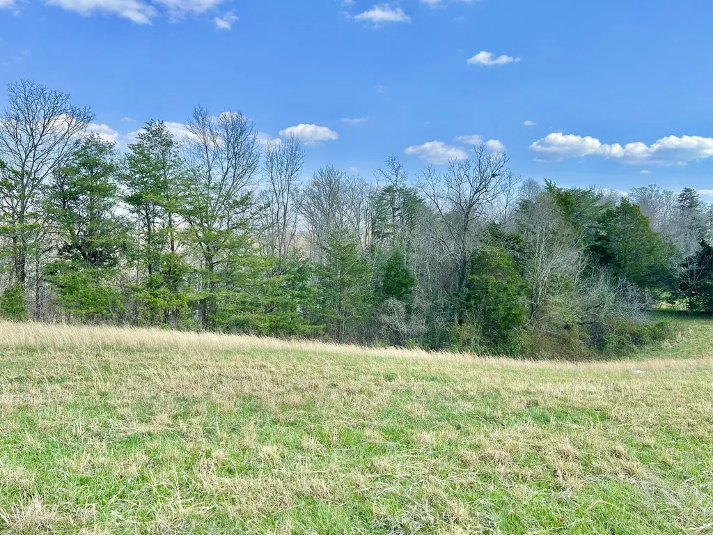 9999 Acreyville Road Monticello KY 42633