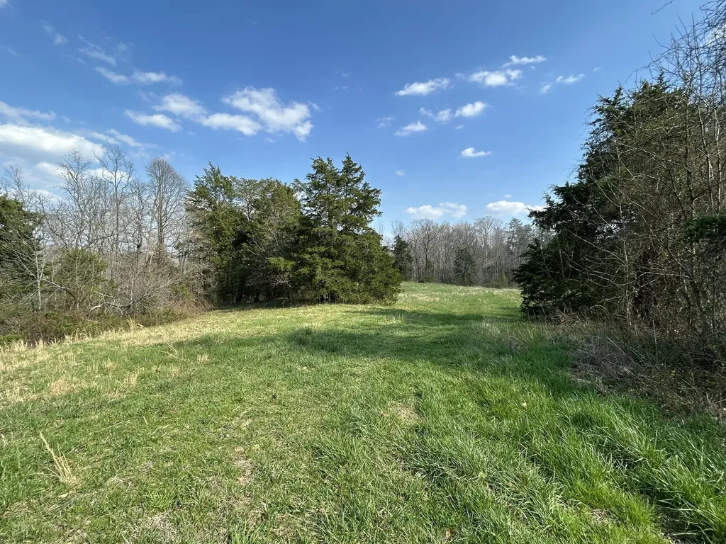 9999 Acreyville Road Monticello KY 42633
