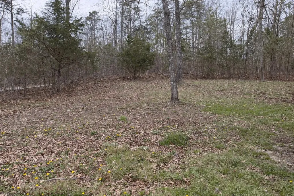 228 Griffin Hill Road Monticello KY 42633