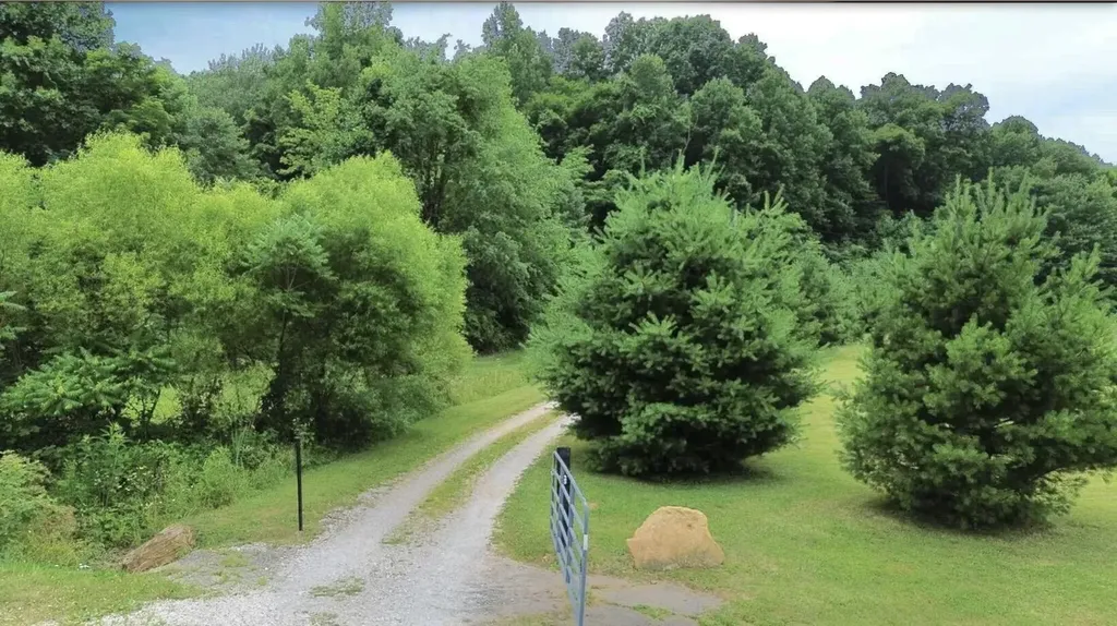 1538 May Hollow Road Tollesboro KY 41189
