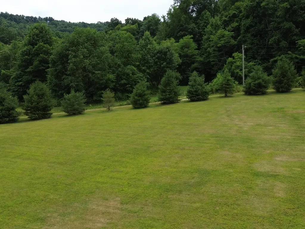 1538 May Hollow Road Tollesboro KY 41189