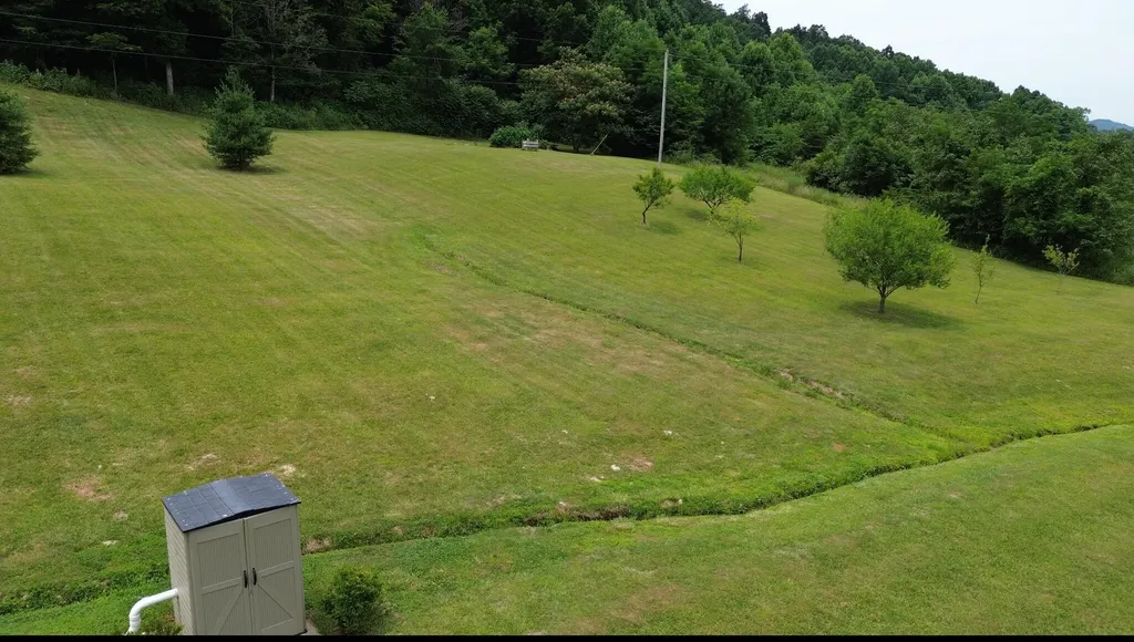 1538 May Hollow Road Tollesboro KY 41189