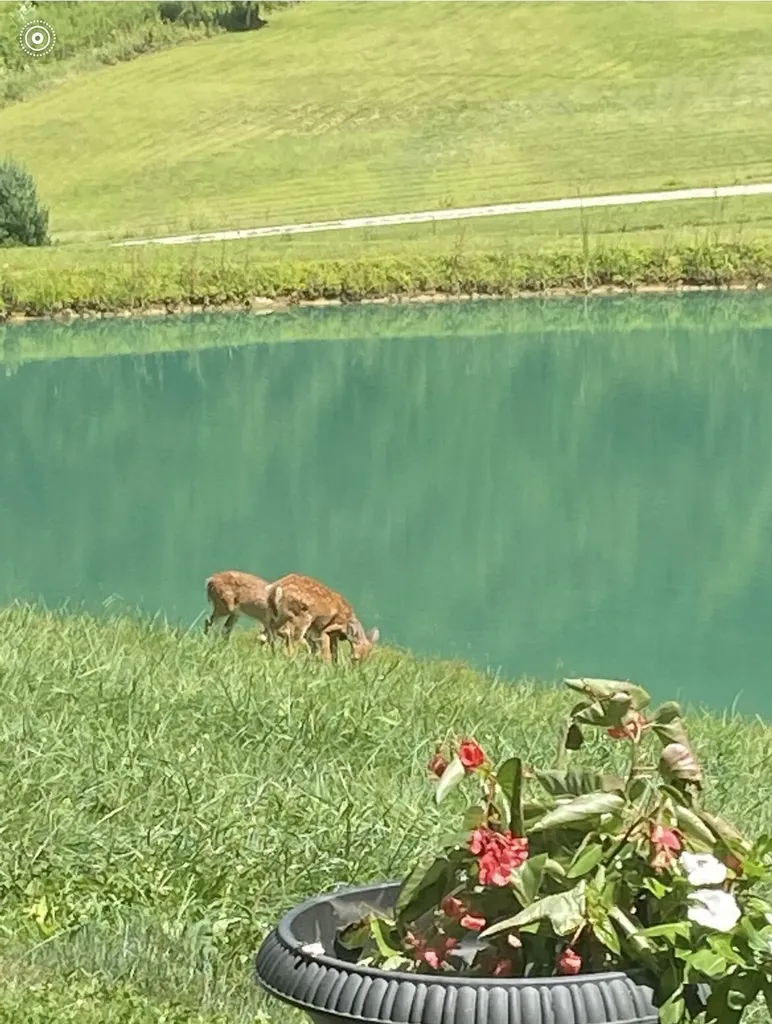 1538 May Hollow Road Tollesboro KY 41189