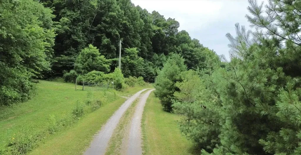 1538 May Hollow Road Tollesboro KY 41189