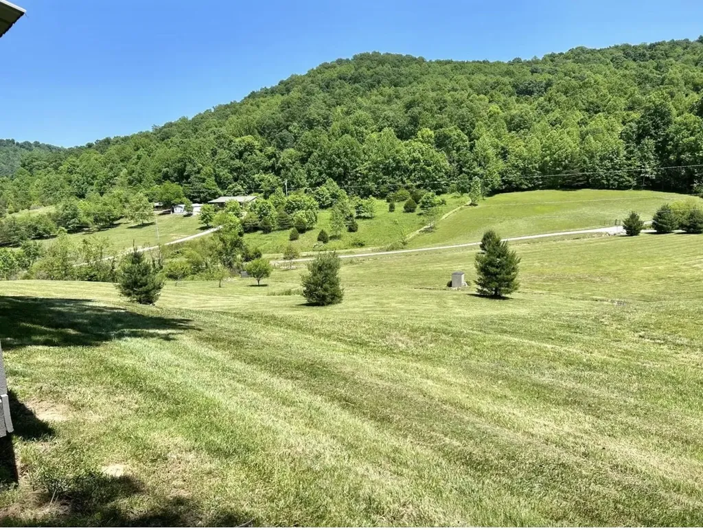 1538 May Hollow Road Tollesboro KY 41189