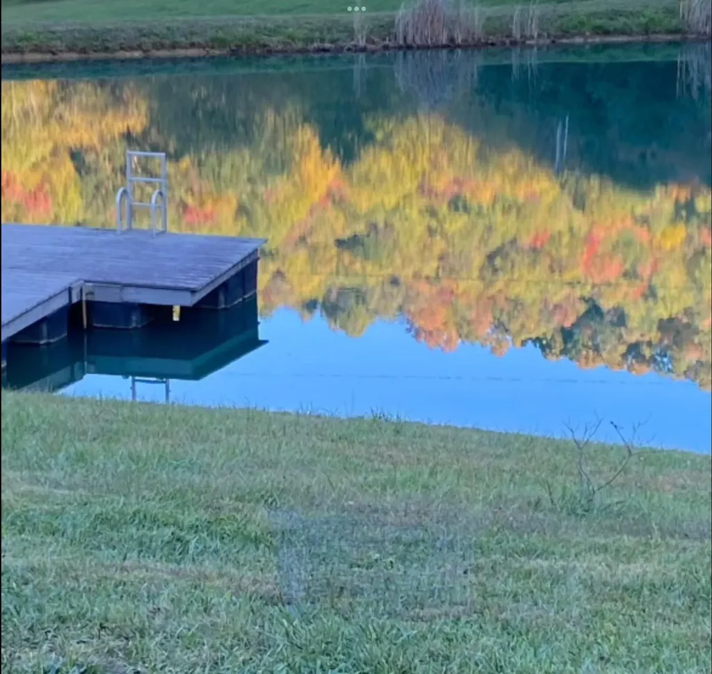 1538 May Hollow Road Tollesboro KY 41189