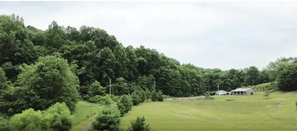 1538 May Hollow Road Tollesboro KY 41189