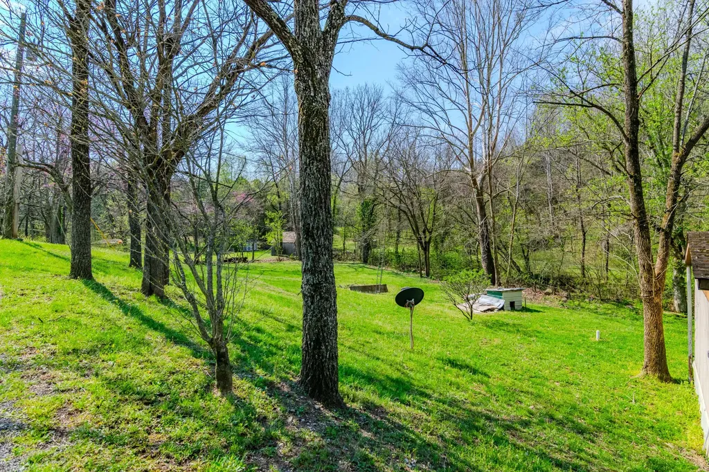 1207 Logan Road Springfield KY 40069