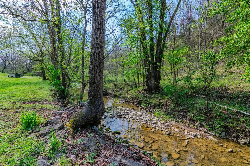 1207 Logan Road Springfield KY 40069
