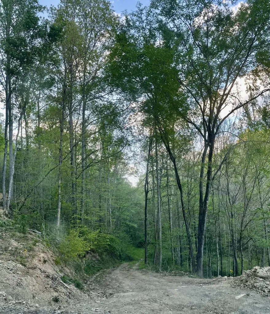 1749 Rouse Branch Road Liberty KY 42539