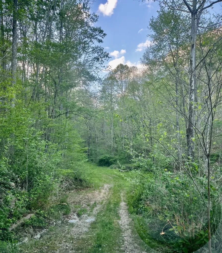 1749 Rouse Branch Road Liberty KY 42539