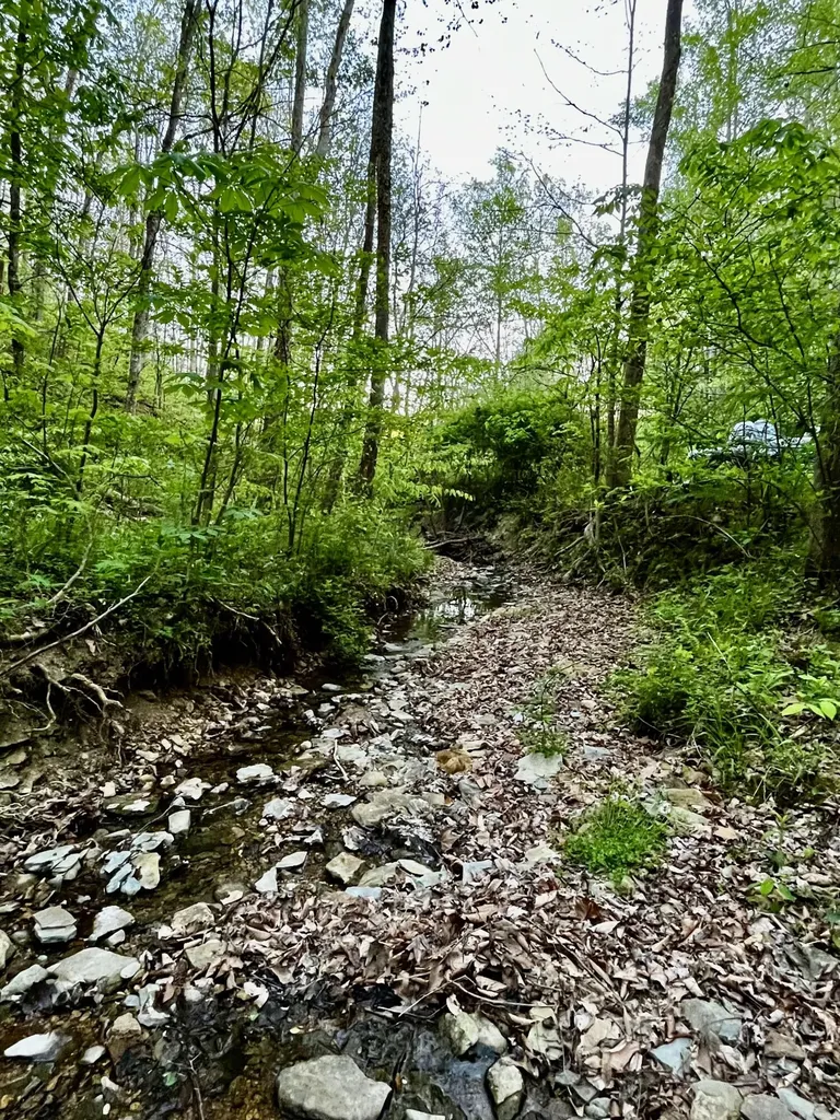 1749 Rouse Branch Road Liberty KY 42539