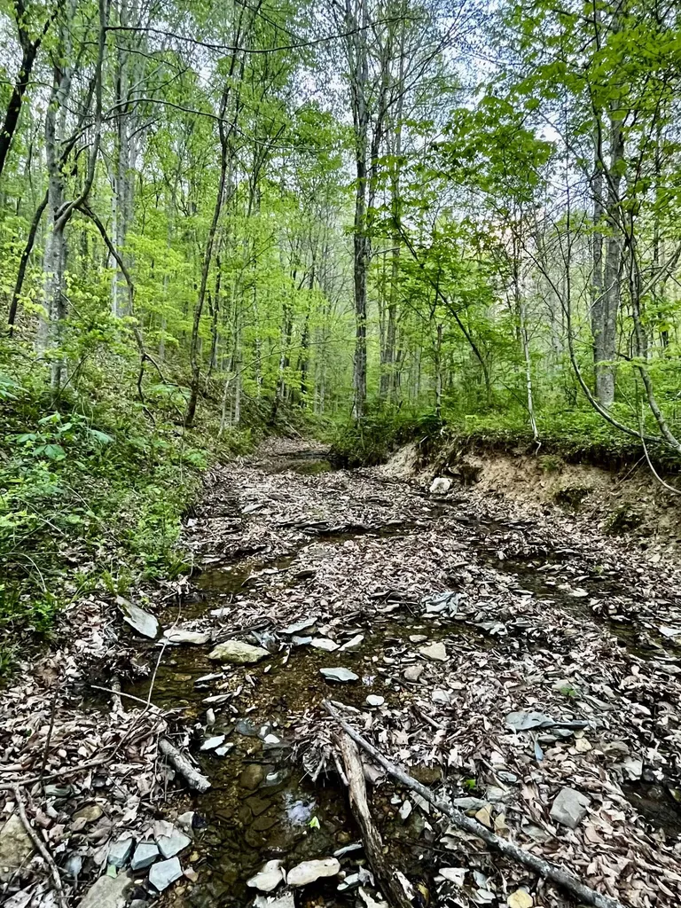 1749 Rouse Branch Road Liberty KY 42539