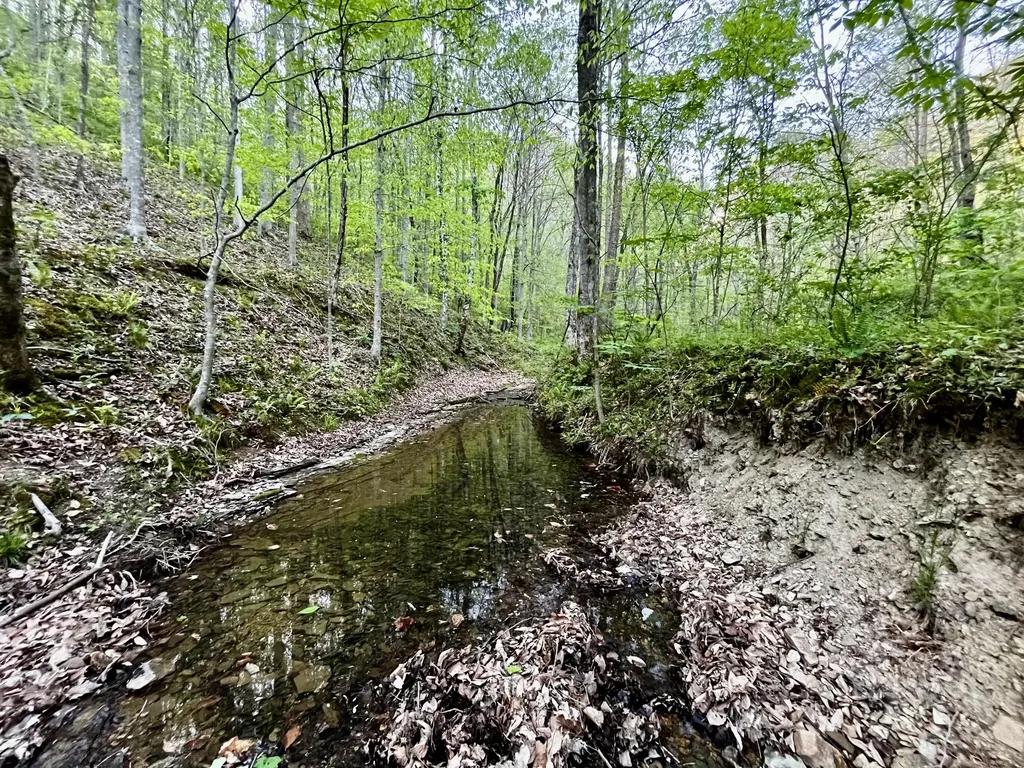 1749 Rouse Branch Road Liberty KY 42539
