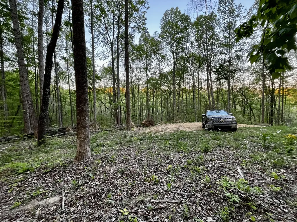 1749 Rouse Branch Road Liberty KY 42539