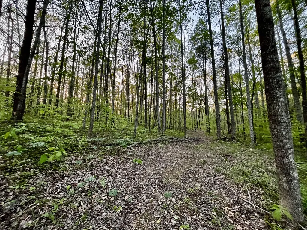 1749 Rouse Branch Road Liberty KY 42539