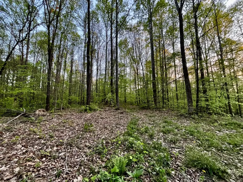 1749 Rouse Branch Road Liberty KY 42539