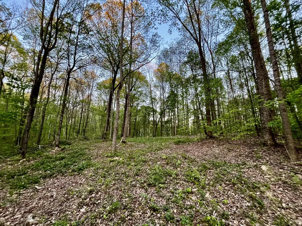 1749 Rouse Branch Road Liberty KY 42539
