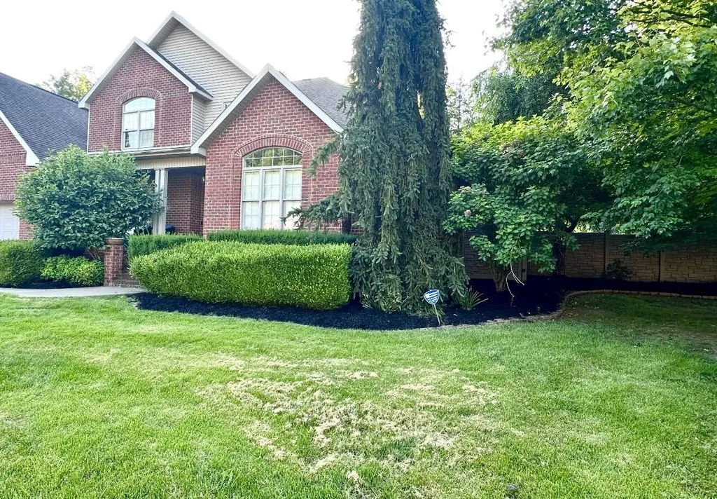 104 Easy Street Staffordsville KY 41256