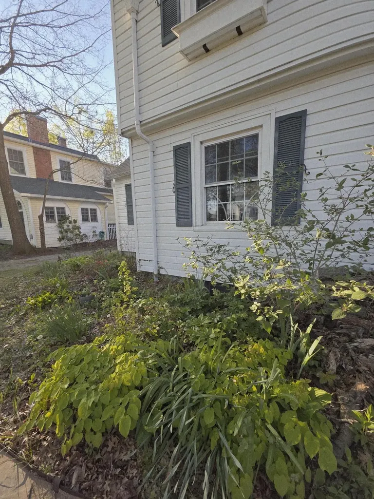 305 Jackson Street Berea KY 40403