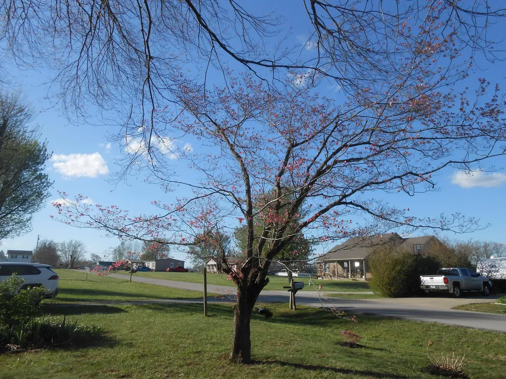 145 Tabor Road Jeffersonville KY 40337