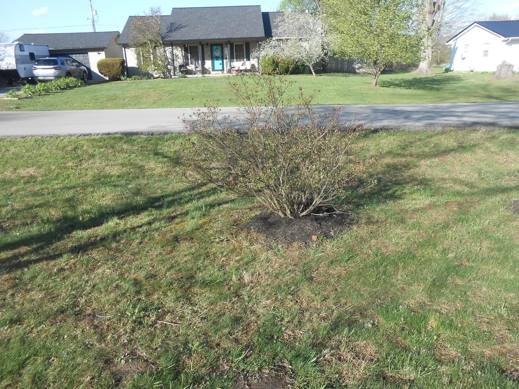 145 Tabor Road Jeffersonville KY 40337