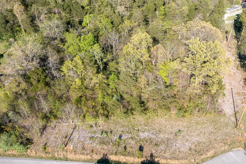 7, 8, 9 Walnut Drive Bronston KY 42518