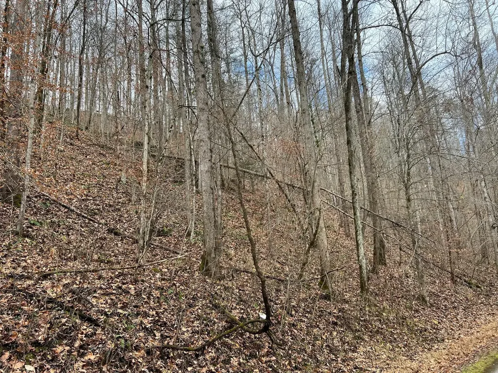 2774 Mosley Bend Road Hyden KY 41749