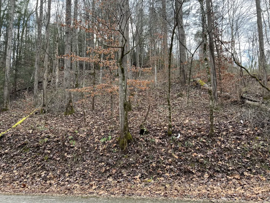 2774 Mosley Bend Road Hyden KY 41749