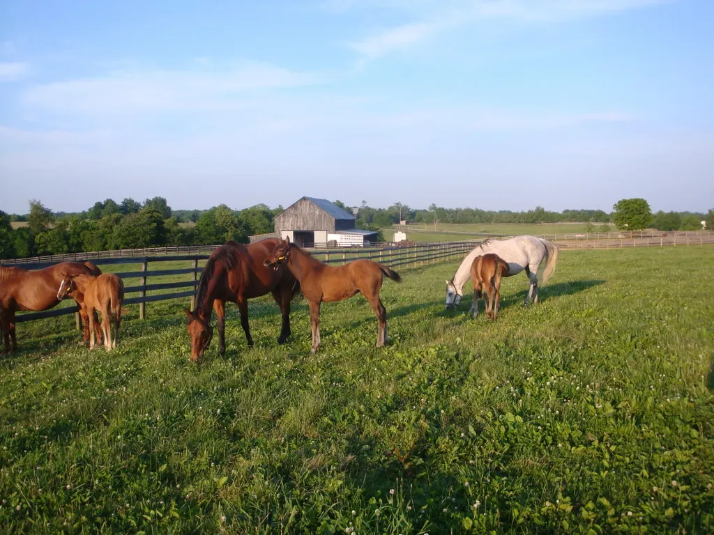 200 Carpenter Pike Versailles KY 40383