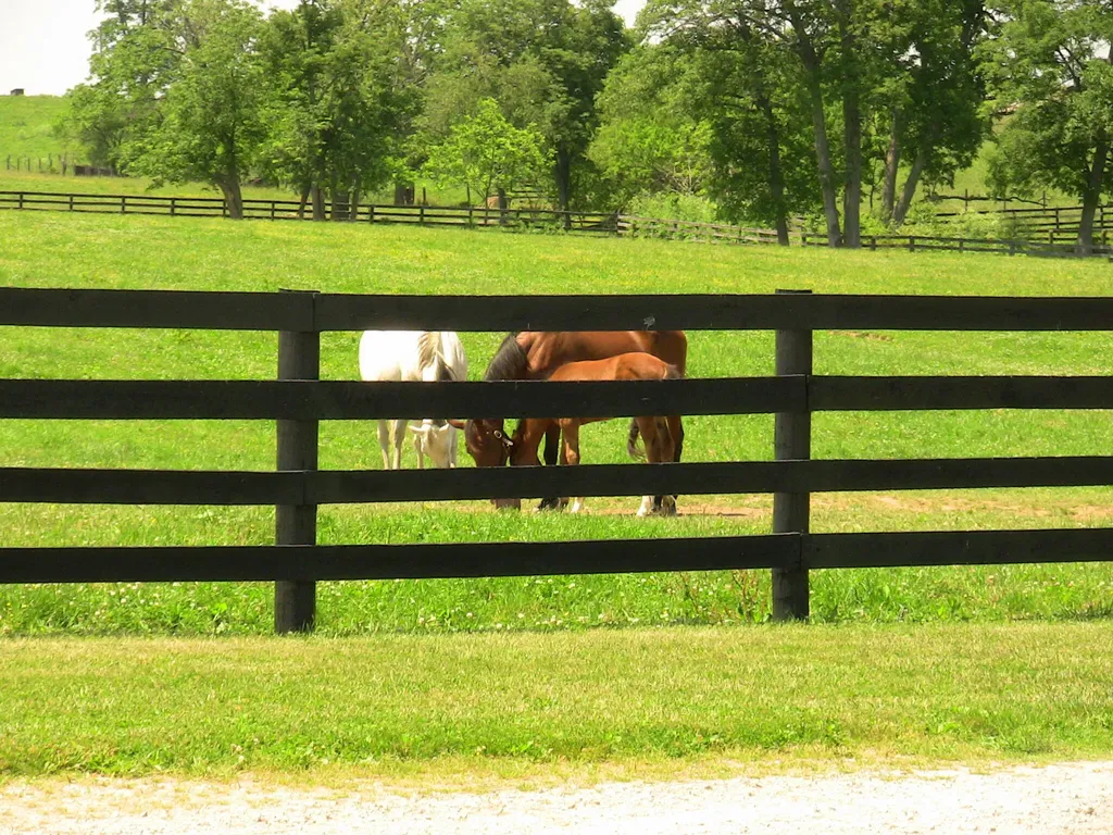 200 Carpenter Pike Versailles KY 40383