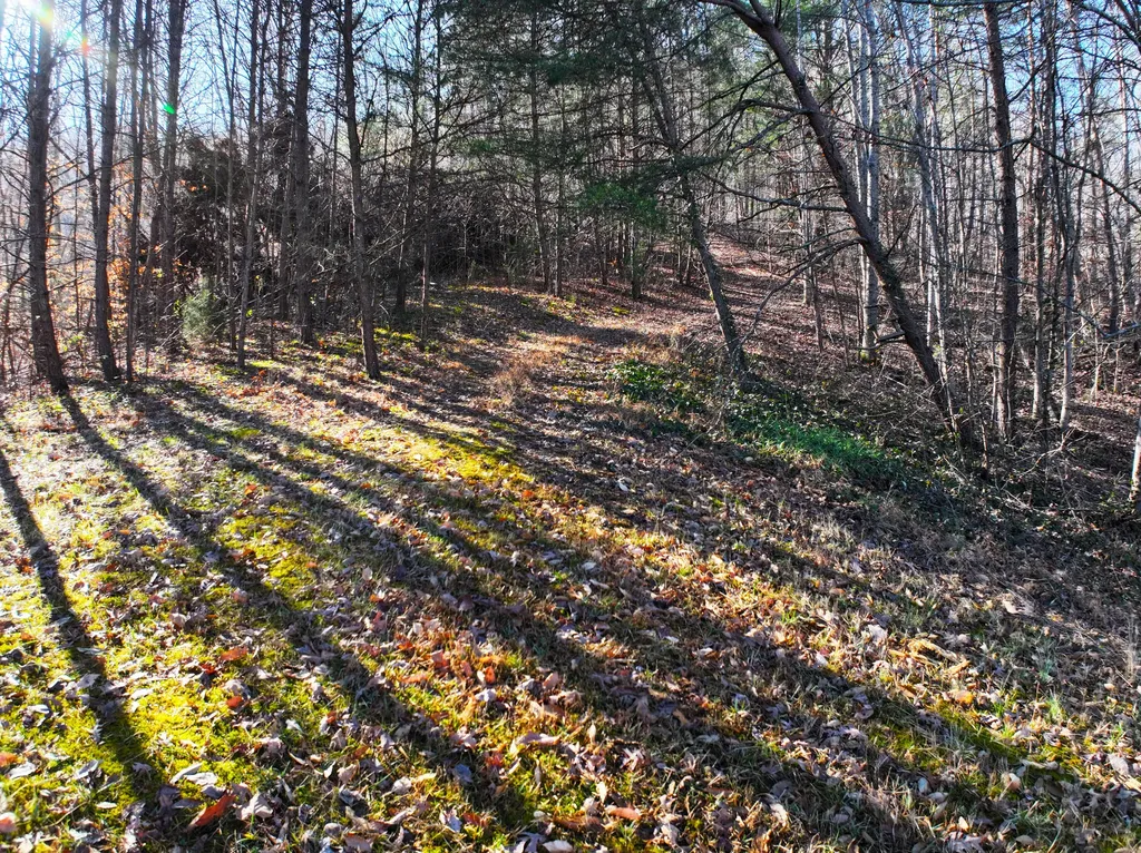 11901 Red Lick Road Irvine KY 40336