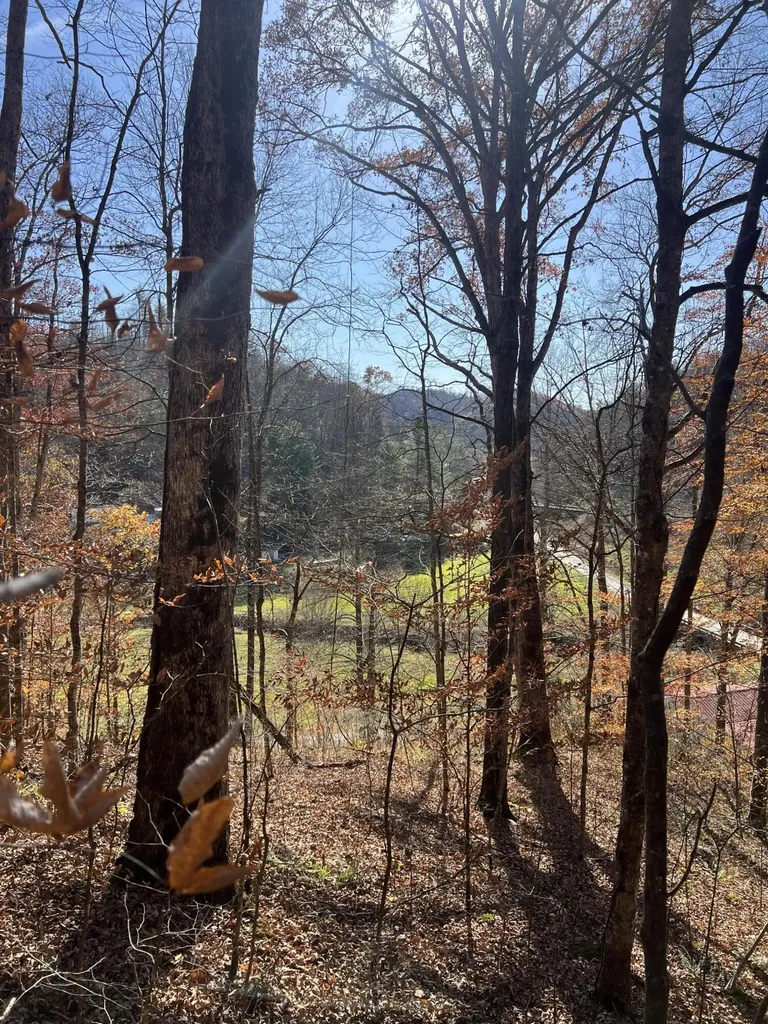 2860 Johnson Fork Salyersville KY 41465