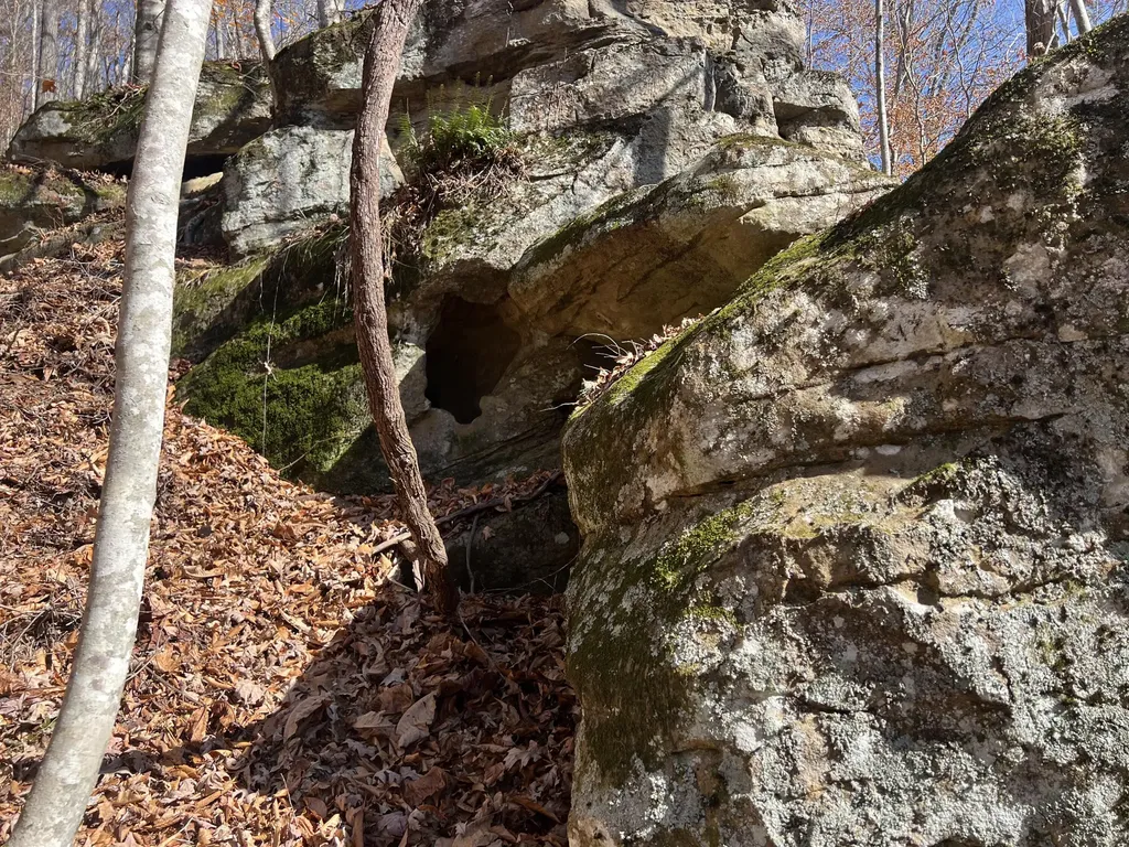 2860 Johnson Fork Salyersville KY 41465