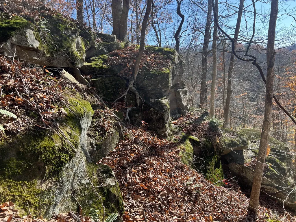 2860 Johnson Fork Salyersville KY 41465