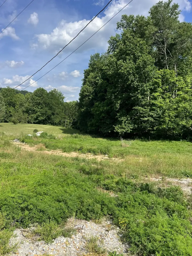 136 Taylor Loop Road Liberty KY 42539