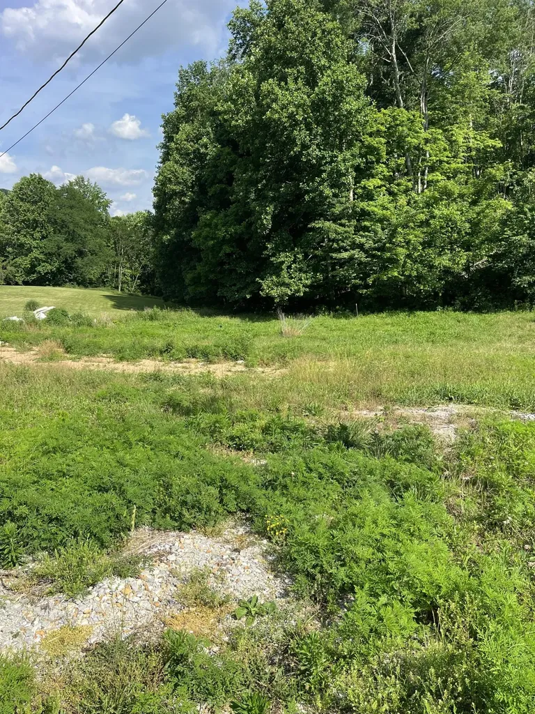136 Taylor Loop Road Liberty KY 42539