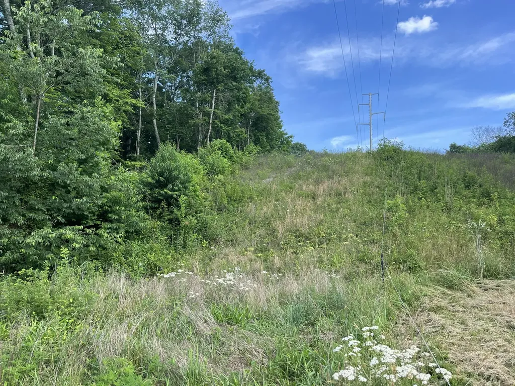 136 Taylor Loop Road Liberty KY 42539