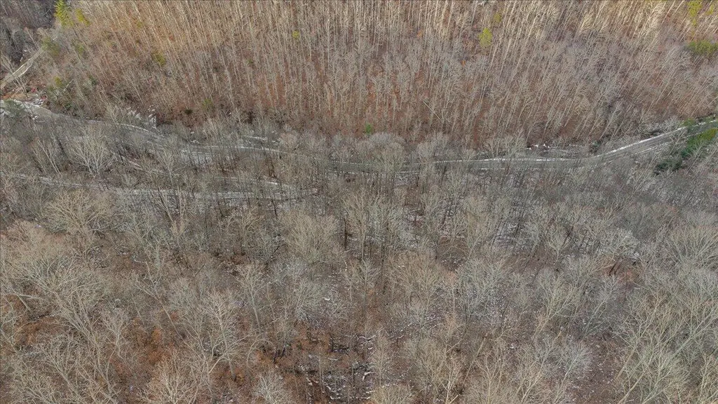 0 Nada Tunnel Road Stanton KY 40380