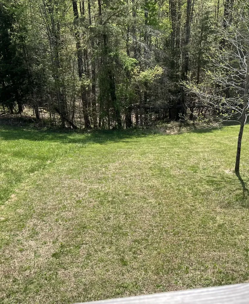 185 Turkey Ridge Road Wellington KY 40387