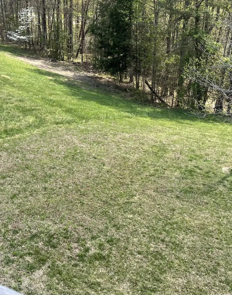 185 Turkey Ridge Road Wellington KY 40387